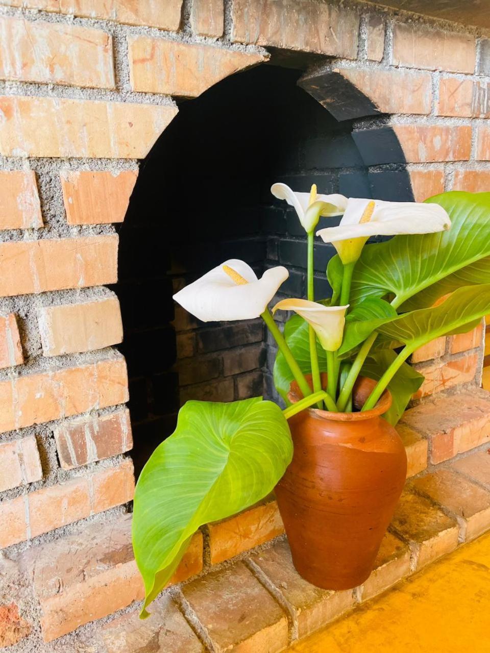 Golden King Cottage Nuwara Eliya Ngoại thất bức ảnh